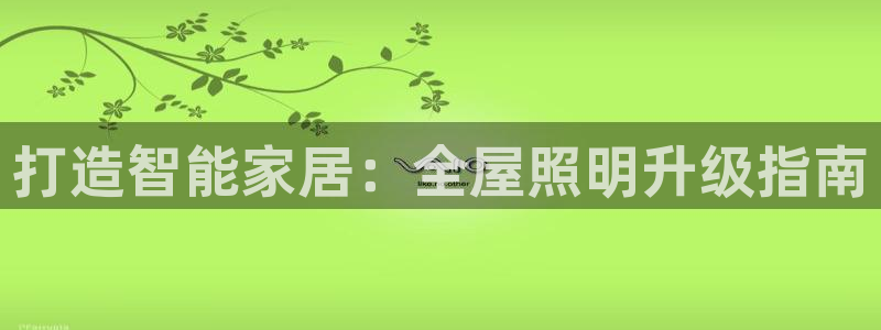 云顶国际软件
