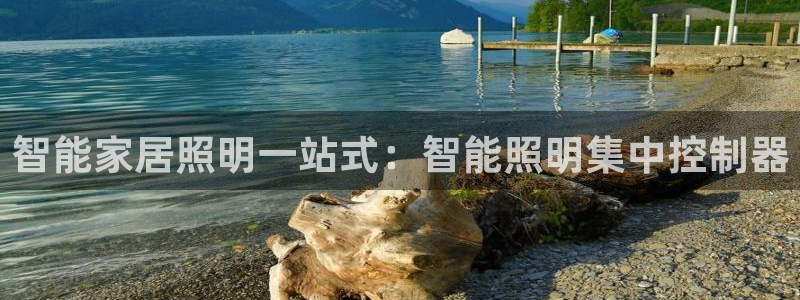 云顶国际连接