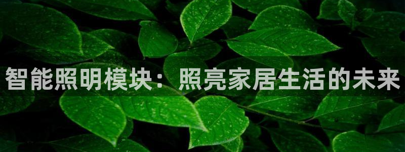 云顶国际宴会中心怎么样