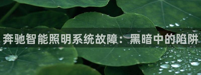 云顶国际官方网站入口