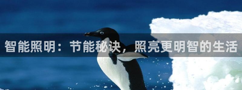 上海云顶国际会所有什么服务
