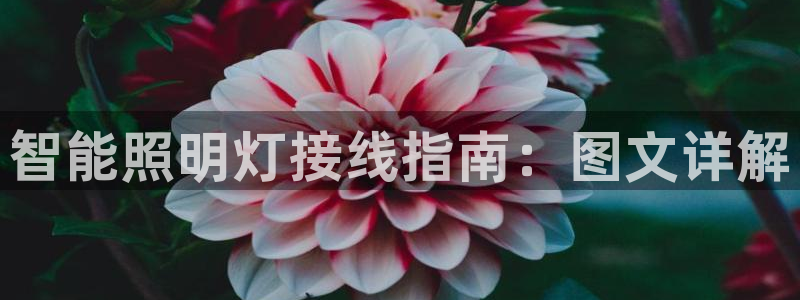 云顶集团总裁