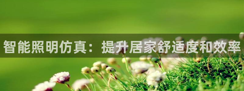 云顶集团老总简介