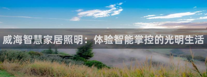 云顶国际物流有限公司