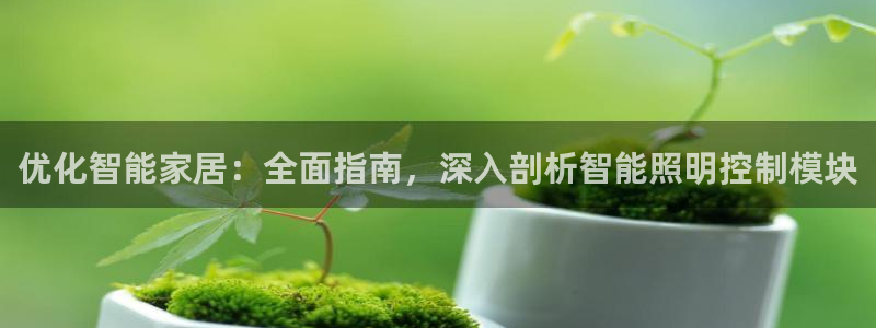 云顶国际服s11什么时候上线