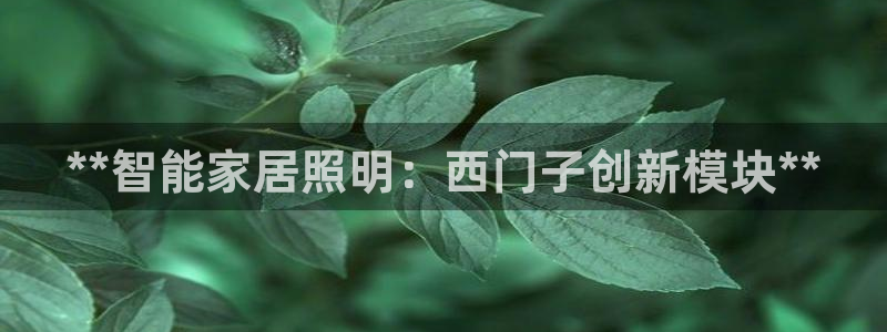 云顶国际服联机