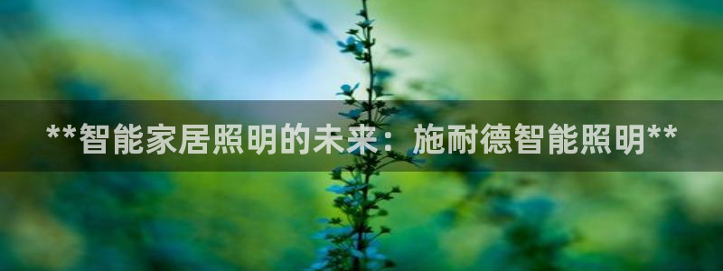 云顶手游国际