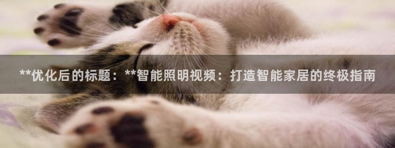 云顶国际酒店老板是谁