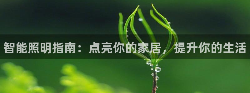 云顶国际集团开发有限公司