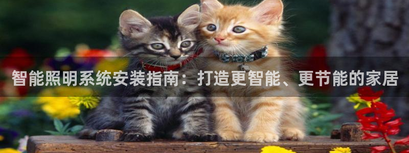 云顶国际官网下载