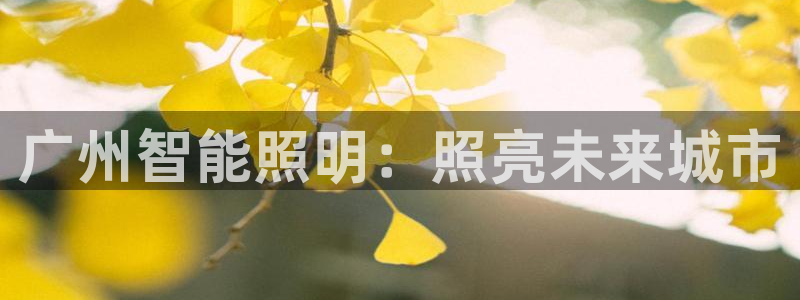 云顶集团公司简介图片