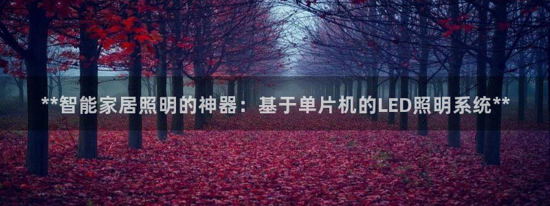 云顶国际APP