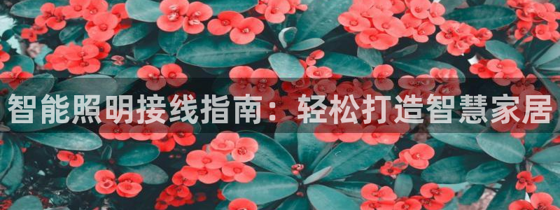 云顶国际老板是谁