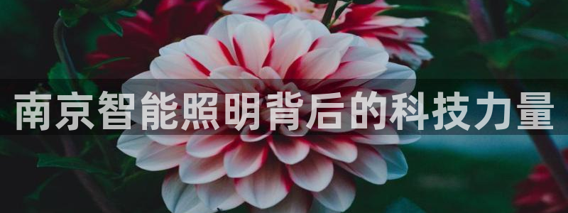 云顶国际平台怎么样