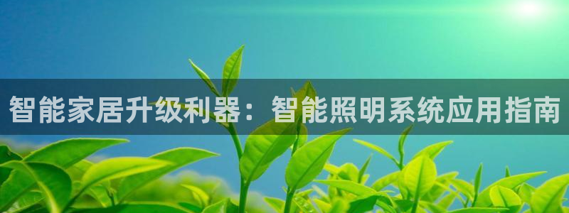 云顶国际网站可靠吗