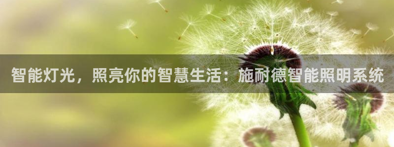 云顶oce