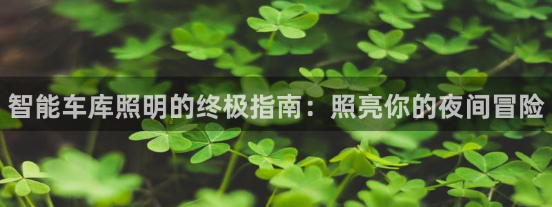云顶线路快速检测中心