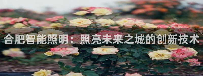 云顶集团是真实的吗