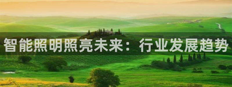 云顶国际平台是真的吗