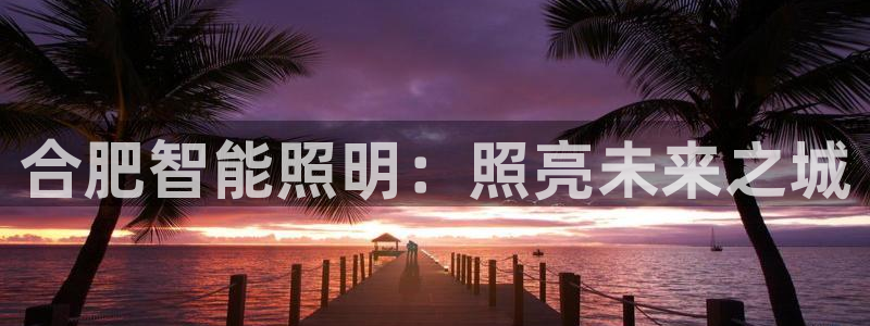 云顶集团林志华简介