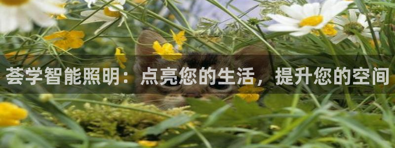 云顶国际装饰设计公司