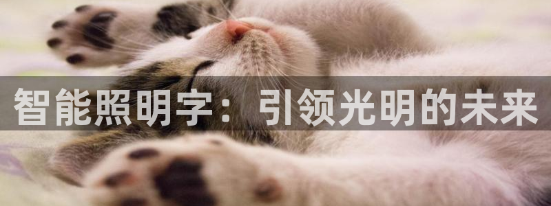 云顶国际电话号码查询