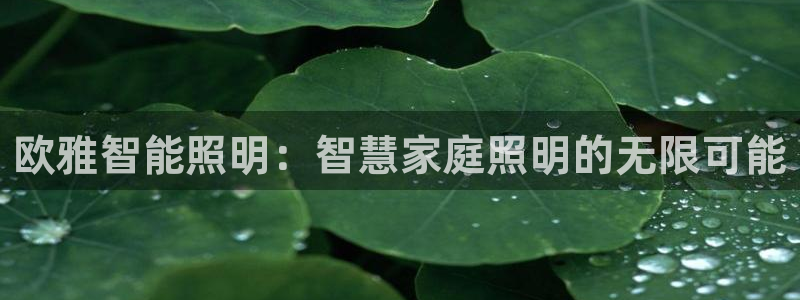 云顶国际平台游戏官网入口