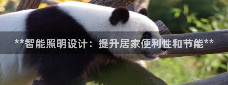 9559云顶国际