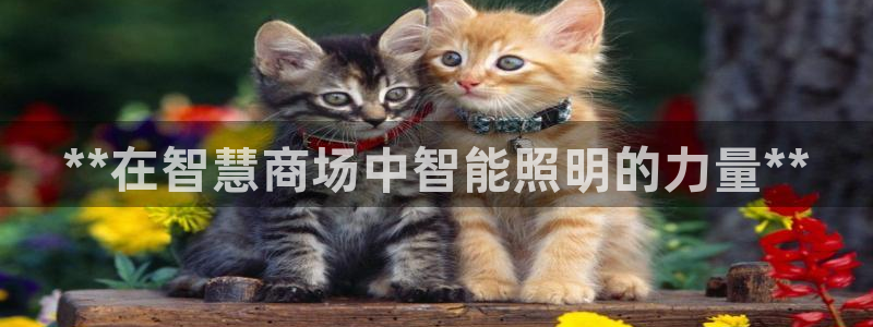 云顶国际酒店电话