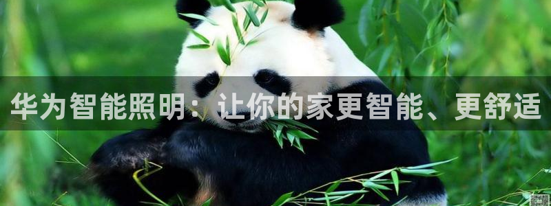 云顶国际部HKDSE