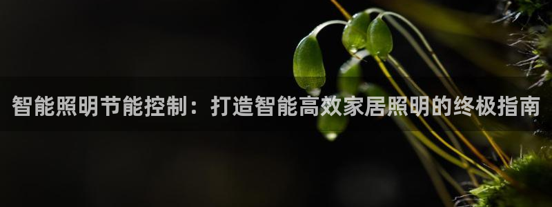 云顶官网网址
