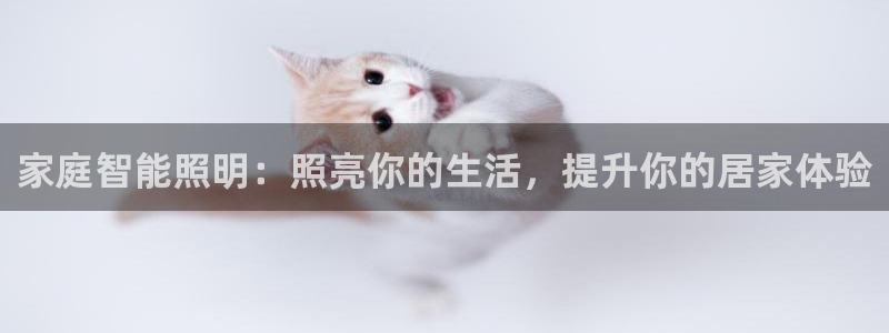 云顶国际城手机网址