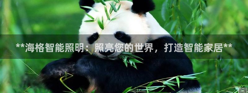 云顶集团公司简介图片