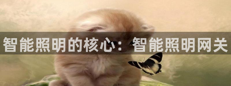 云顶集团电话