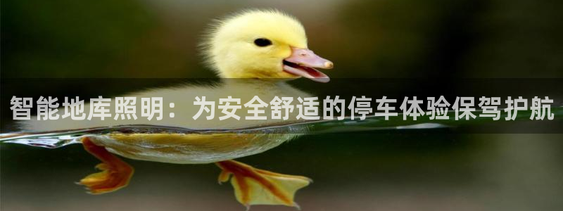 云顶集团简介和历史
