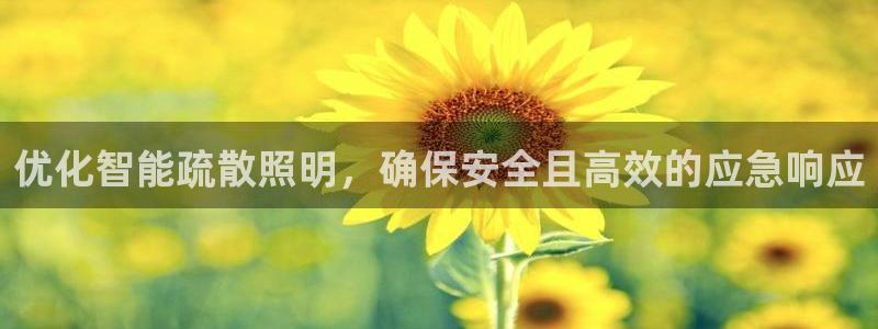 云顶国际太原