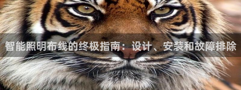 云顶国际公馆是公寓吗