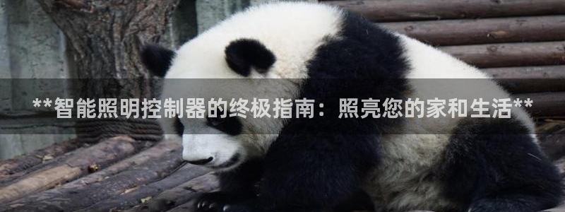 云顶国际服阵容