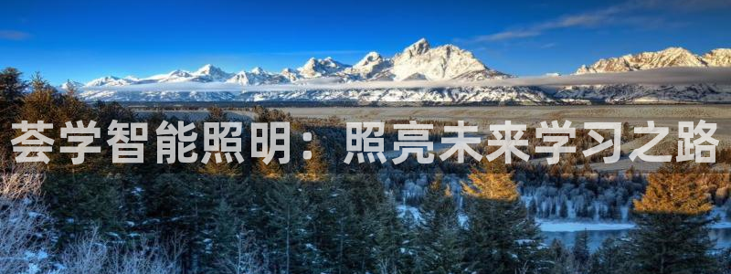 云顶国际服没有改名卡