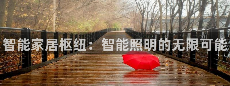 云顶国际app官网下载安装