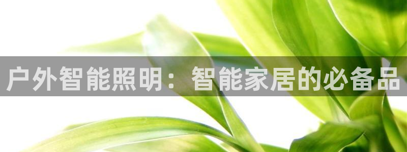 云顶国际网站打不开