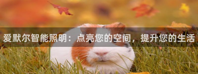 云顶国际区块链怎么样