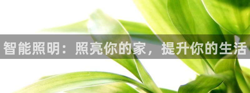 云顶国际商务会所地址