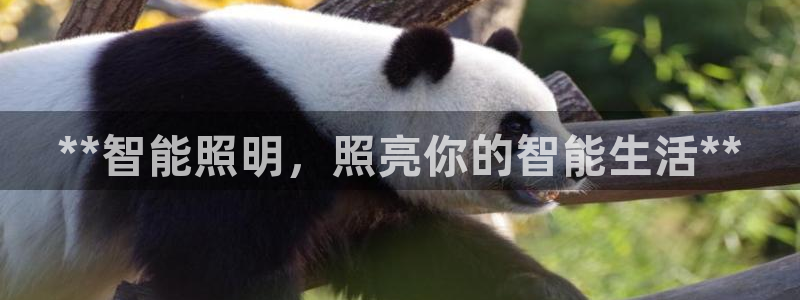 云顶国际集团官网