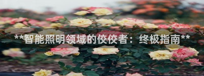 南昌云顶国际公馆是商品房吗