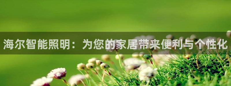 云顶手游国际版