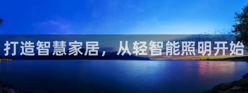 云顶集团王天才简介