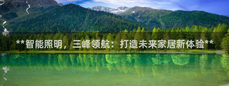 云顶国际城手机网址是什么