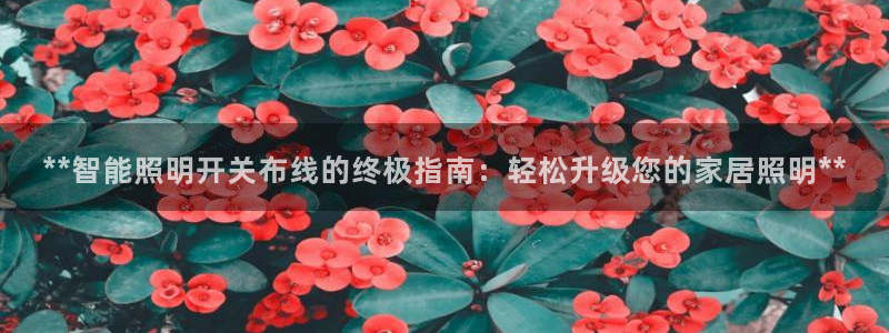 云顶国际提现失败怎么办