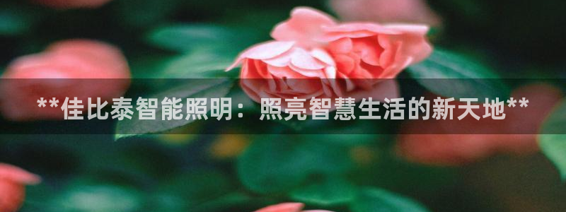 云顶国际yd222线路检测中心